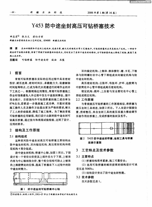 Y453防中途坐封高压可钻桥塞技术