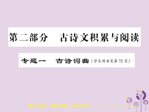 2018届中考语文复习第二部分古诗文积累与阅读专题一古诗词曲(二)课件