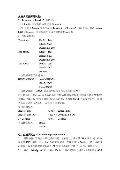 免疫共沉淀Co-Immunoprecipitation的实验操作流程