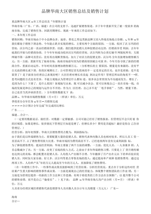 品牌华南大区销售总结及销售计划