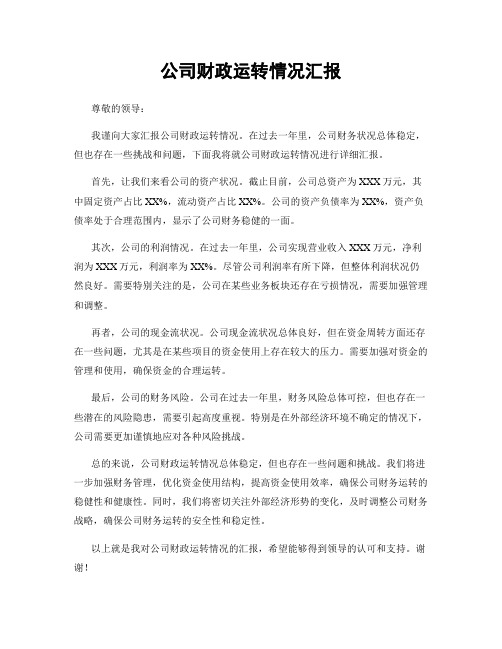 公司财政运转情况汇报