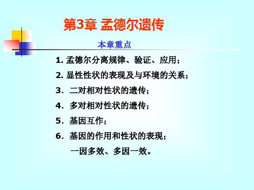 水产生物遗传育种学：第3章 孟德尔遗传