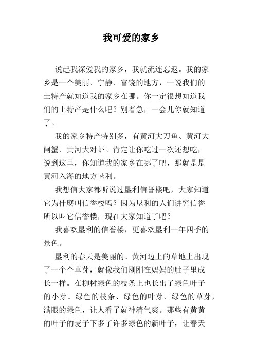 我可爱的家乡