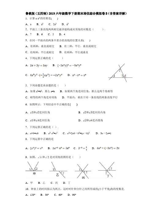 鲁教版(五四制)2019六年级数学下册期末培优综合模拟卷B(含答案详解)