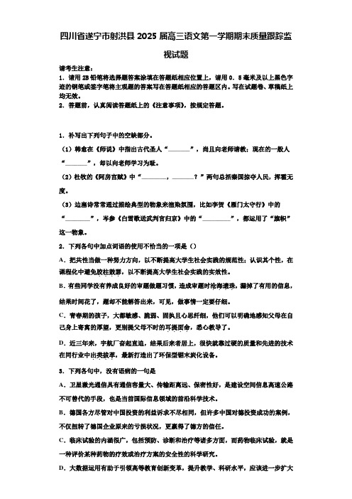 四川省遂宁市射洪县2025届高三语文第一学期期末质量跟踪监视试题含解析