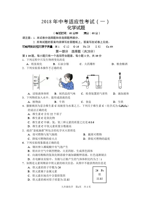 2018年九年级中考适应性考试化学