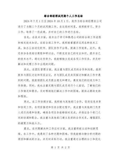 综合部经理试用期个人工作总结