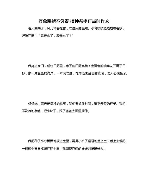 万象耕新不负春 播种希望正当时作文