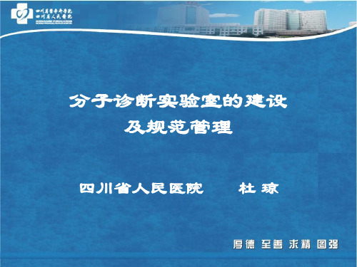 (仅供参考)分子诊断实验室的建设