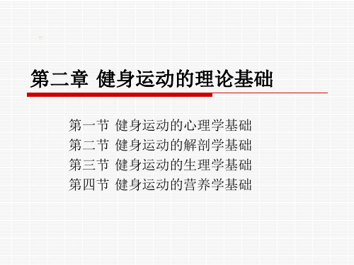 健身基础理论
