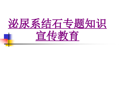 医学泌尿系结石专题知识宣教课件