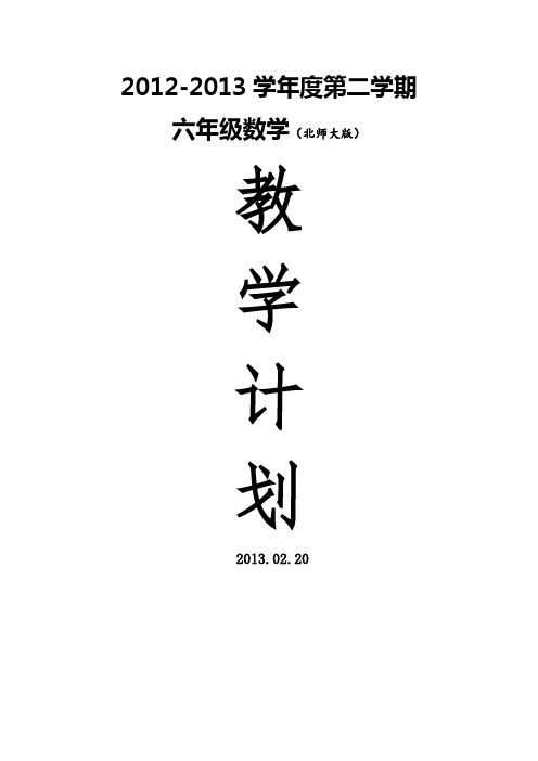 2013年春季教学计划