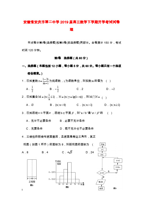 安徽省安庆市第二中学2019届高三数学下学期开学考试试题理【word版】.doc