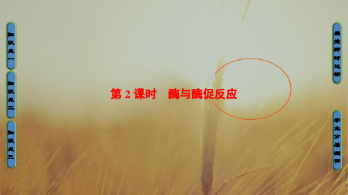 2018学年高中生物必修一课件:第4章 光合作用和细胞呼吸-第1节-第2课时