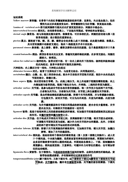 系统解剖学名词解释总结