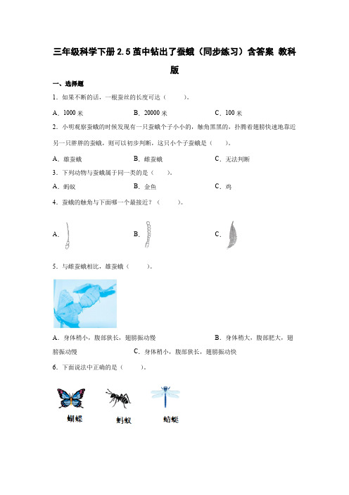 教科版(2017秋)科学 三年级下册 2-5茧中钻出了蚕蛾 同步练习