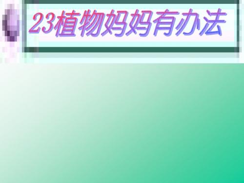 人教版小学二年级语文上册第3课《植物妈妈有办法》PPT课件