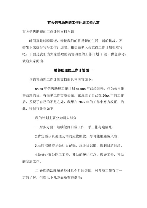 有关销售助理的工作计划文档八篇