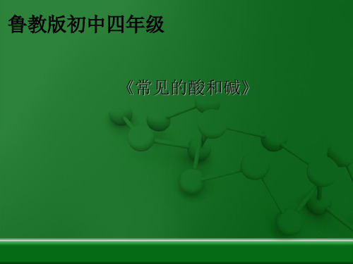 鲁教版初中化学九年级全册 常见的酸和碱课件(27张PPT)