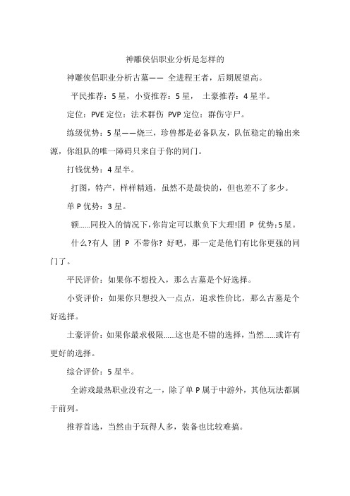 神雕侠侣职业分析是怎样的