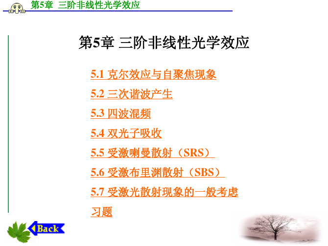 第五章++三阶非线性光学效应11