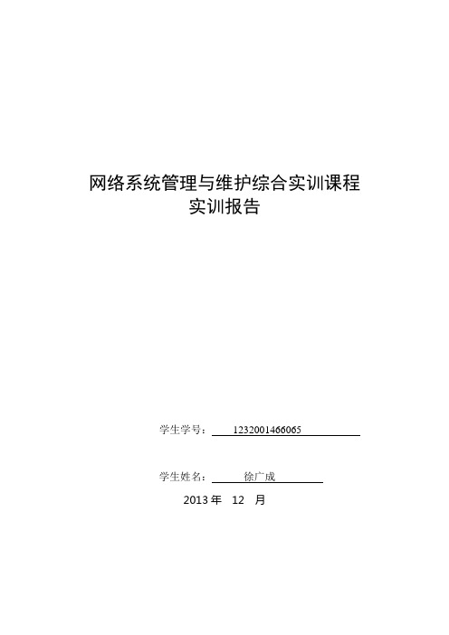 网络系统管理与维护实训报告