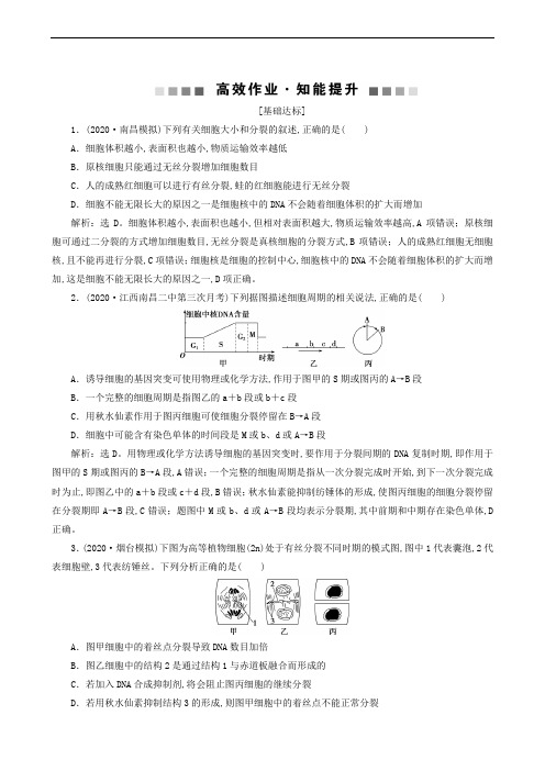 高考生物复习：第4单元 第11讲 细胞的增殖