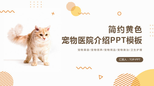 简约宠物医院介绍PPT