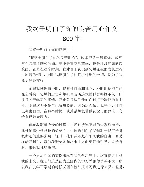 我终于明白了你的良苦用心作文800字