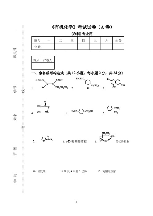 2019大学化学有机化学期末考试试卷