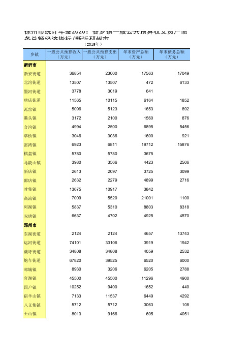 徐州市统计年鉴2020：各乡镇一般公共预算收支资产债务总额经济指标(新沂邳州市