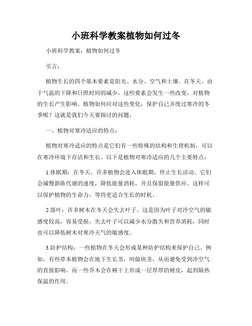 小班科学教案植物如何过冬