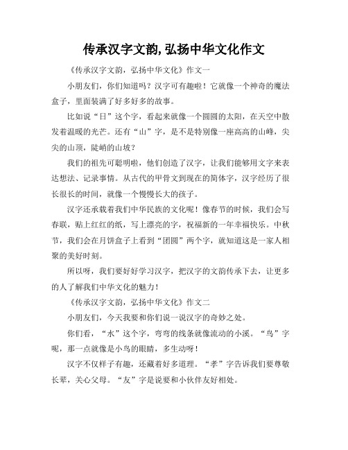 传承汉字文韵,弘扬中华文化作文