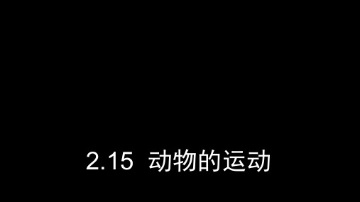 四年级下册科学课件5动物的运动 粤教版 (共48页)PPT