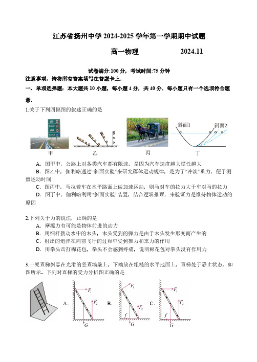 江苏省扬州中学2024-2025学年高一上学期11月期中物理试题(含答案)