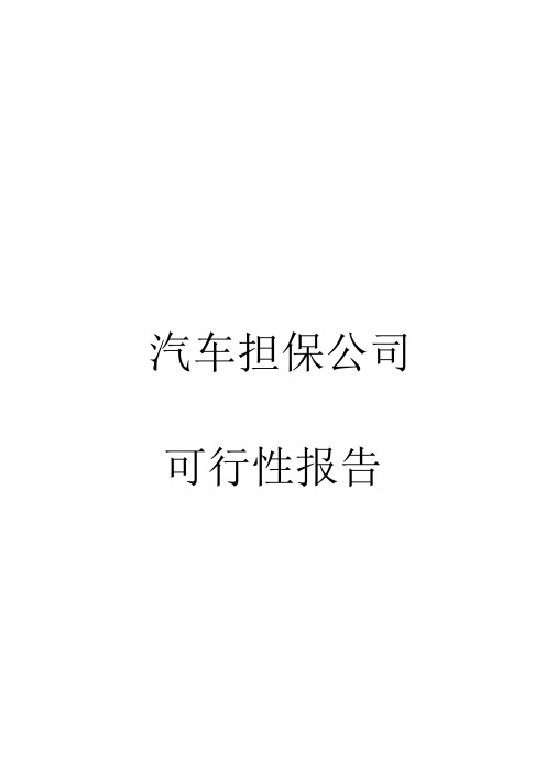 汽车担保行业可行性报告1