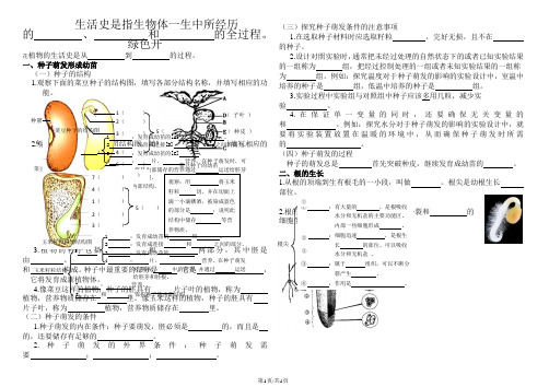 初中生物八上复习课《种子的萌发》知识梳理无答案