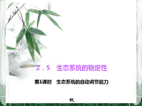 【四清导航】2015(浙教版)九年级科学下册习题课件：2.5.1  生态系统的自动调节能力