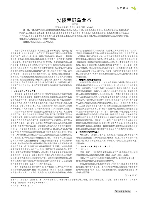 安溪荒野乌龙茶