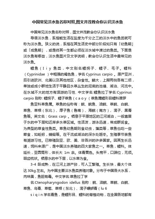 中国常见淡水鱼名称对照,图文并茂教会你认识淡水鱼