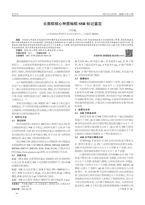 云南稻核心种质籼稻ssr标记鉴定