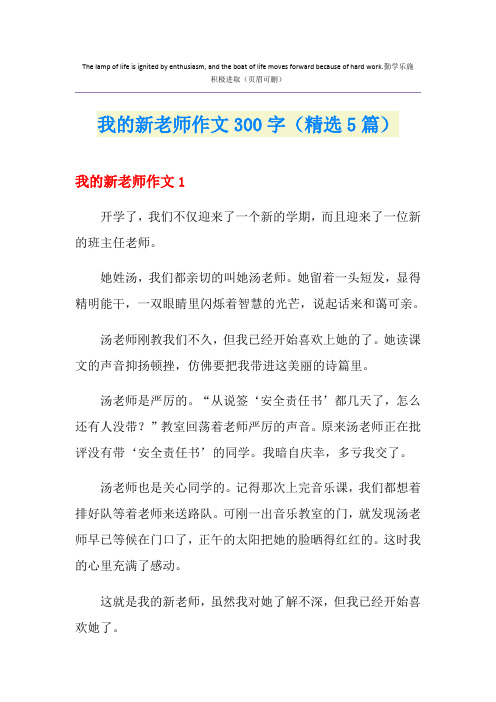 我的新老师作文300字(精选5篇)