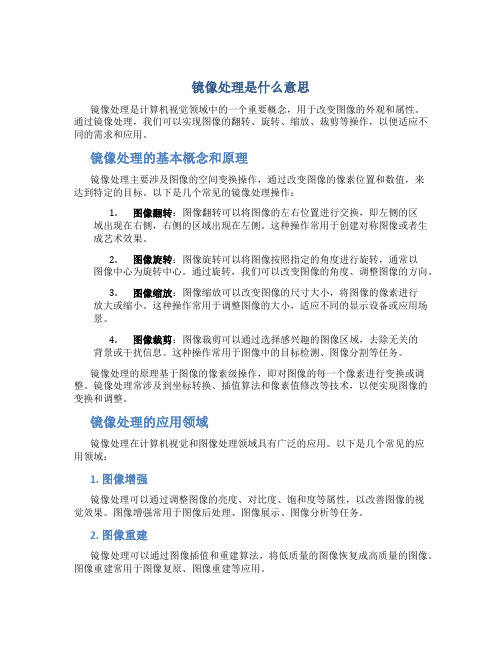 镜像处理是什么意思