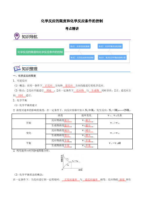 第10讲化学反应的限度和化学反应条件的控制-高一化学精讲精练(人教版2019必修第二册)