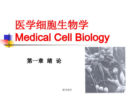 医学细胞生物学-绪论