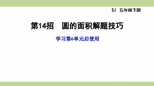 苏教版五年级下册数学 第6单元 第14招 圆的面积解题技巧 知识点梳理重点题型练习课件