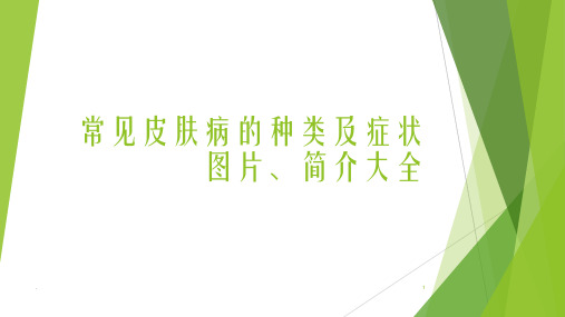 常见皮肤病的种类及症状图片、简介大全PPT医学课件