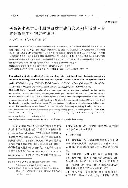 磷酸钙水泥对自体腘绳肌腱重建前交叉韧带后腱-骨愈合影响的生物力学研究