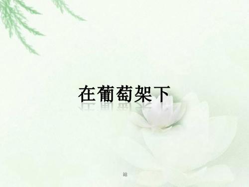 湘艺版音乐五年级下册第7课《在葡萄架下》课件