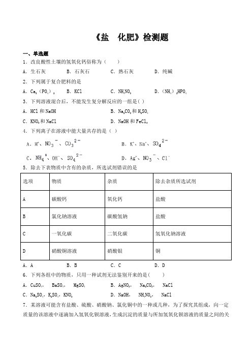 人教版化学九年级下册第十一单元《盐  化肥》检测题(含答案) (1)